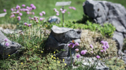 giardino-4