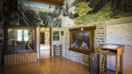 museo-zanardo-1