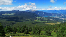 pian de la gnela