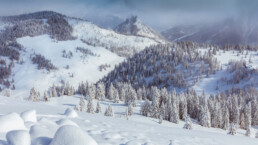 escursioni-sulla-neve