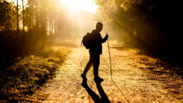 nordic-walking